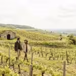 Wine Tourism: Exploring Vineyards and Cellars Around the Globe - guide